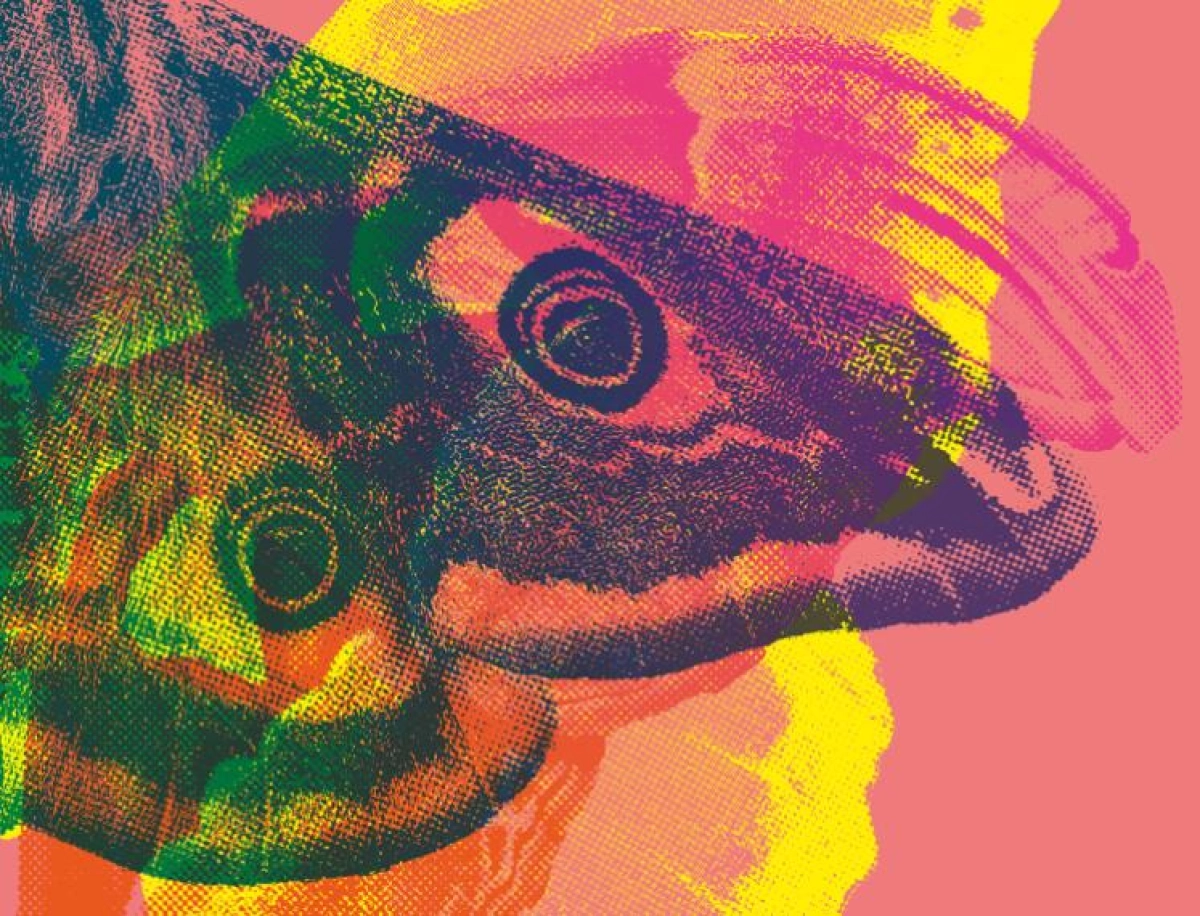 Queer Science Festival